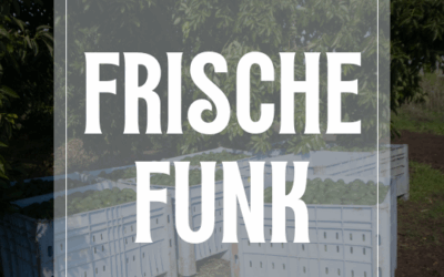 Frischefunk Juli 2025