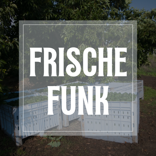 Frischefunk Juli 2025