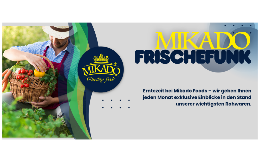 Frischefunk Juni 2026